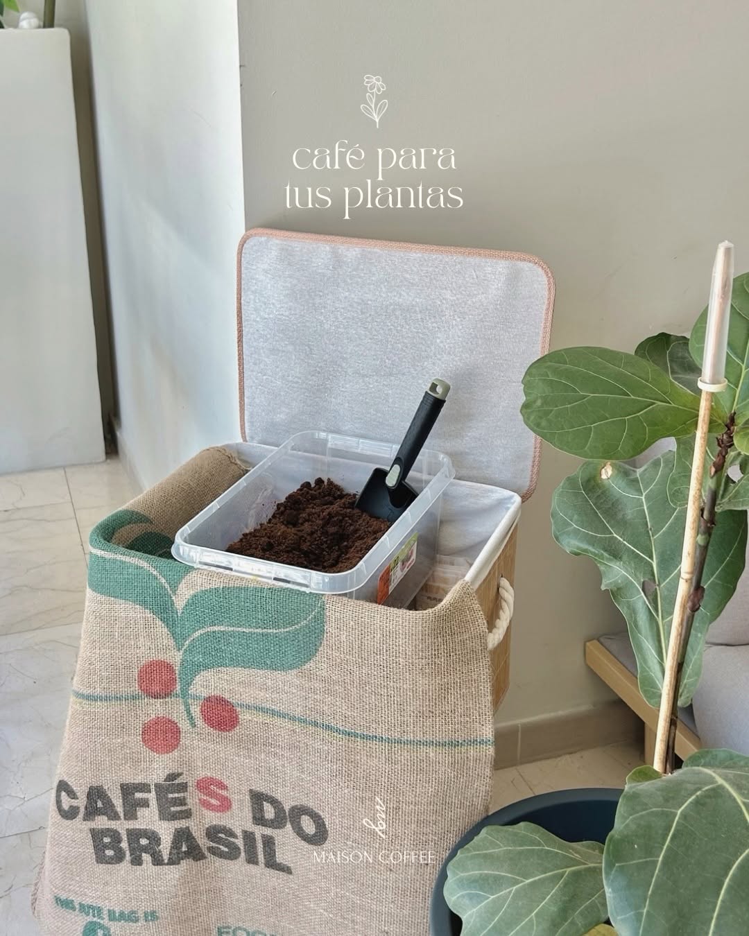 Reuse your coffee grounds